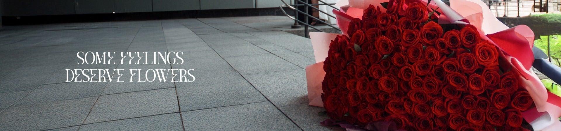 Valentine's Collections