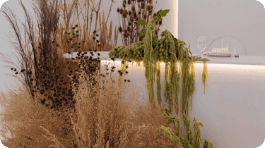 EVENTS & EXHIBITIONS